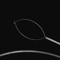 Ko te Jaw Momo Bondergps Bovers