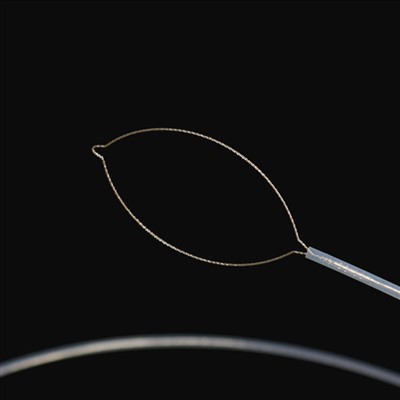 Ko te Jaw Momo Bondergps Bovers